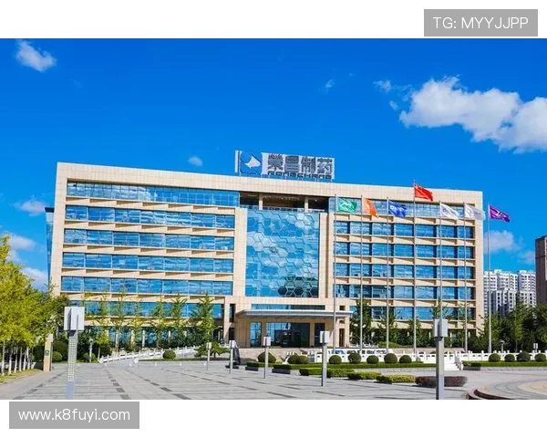 分析K8.com凯发国际版的安全保障体系确保玩家个人信息与资金安全无忧