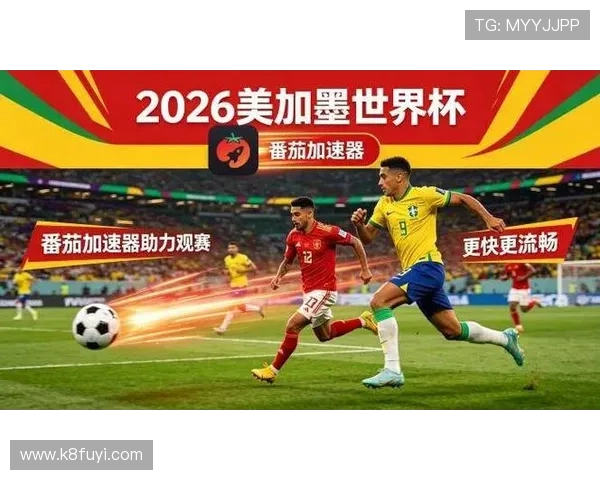 世界杯巴西与海地比赛期间可能遇到的安全风险及应对建议